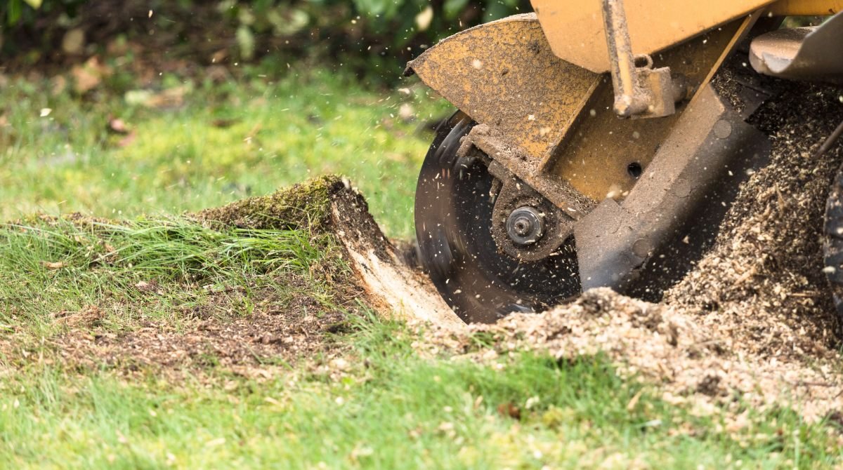 Stump grinding